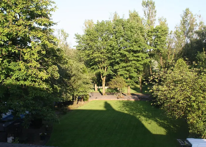 Birch Hotel